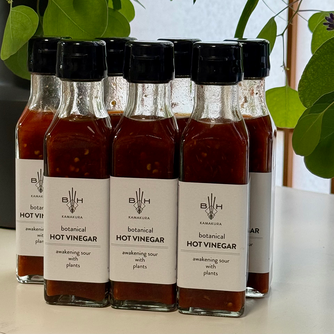 【プラントベース調味料】　botanical HOT VINEGAR